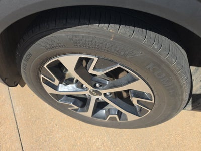 2025 Kia SPORTAGE Base